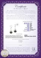  Certificato di prodotto: TAH-B-AAA-89-E-Tamara