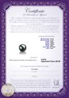 Certificato di prodotto: TAH-B-AAA-89-L1