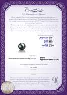 product certificate: TAH-B-AAA-89-L1