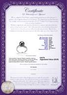 Certificato di prodotto: TAH-B-AAA-89-R-Caroline