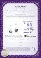  Certificato di prodotto: TAH-B-AAA-910-E-Ariel