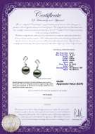 Certificato di prodotto: TAH-B-AAA-910-E-Assina