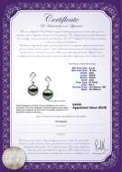 product certificate: TAH-B-AAA-910-E-Assina