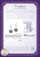 Certificato di prodotto: TAH-B-AAA-910-E-Erma