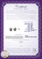  Certificato di prodotto: TAH-B-AAA-910-E-Eternity-YG-L