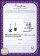 Certificato di prodotto: TAH-B-AAA-910-E-Janet