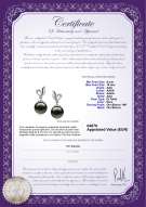 Certificato di prodotto: TAH-B-AAA-910-E-Jeannie