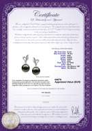 product certificate: TAH-B-AAA-910-E-Jeannie