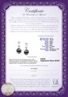 product certificate: TAH-B-AAA-910-E-Kiyam