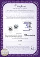 product certificate: TAH-B-AAA-910-E-Leonie