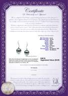  Certificato di prodotto: TAH-B-AAA-910-E-Mystical