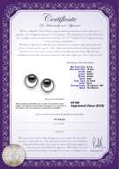 Certificato di prodotto: TAH-B-AAA-910-E-RisingSun