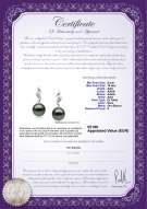  Certificato di prodotto: TAH-B-AAA-910-E-Seductive