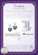  Certificato di prodotto: TAH-B-AAA-910-E-Shellry