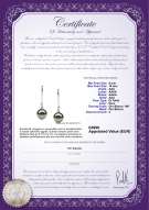 Certificato di prodotto: TAH-B-AAA-910-E-Simplicity
