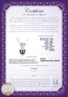 Certificato di prodotto: TAH-B-AAA-910-P-Adelina