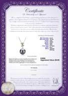 Certificato di prodotto: TAH-B-AAA-910-P-Belva