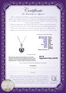 Certificato di prodotto: TAH-B-AAA-910-P-Star