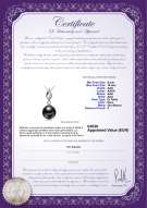 Certificato di prodotto: TAH-B-AAA-910-P-Vita
