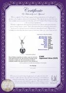 product certificate: TAH-B-AAA-910-P-Winola