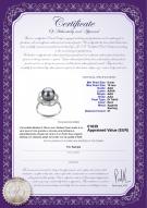 product certificate: TAH-B-AAA-910-R-Bobbie