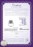  Certificato di prodotto: TAH-B-AAA-910-R-Bobbie