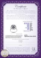 product certificate: TAH-B-AAA-910-R-Bobbie