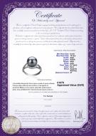 product certificate: TAH-B-AAA-910-R-Royisal