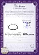 product certificate: TAH-B-N-Q113