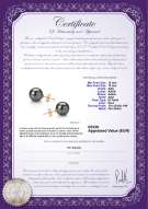 Certificato di prodotto: TE1PC12A-Y