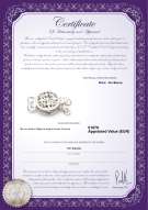 Certificato di prodotto: W-14K-Clasp-DBL-Sussex