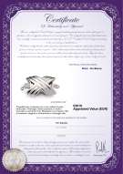  Certificato di prodotto: W-18K-Oxford-Clasp