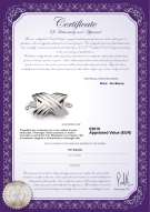 product certificate: W-18K-Oxford-Clasp