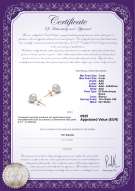 Certificato di prodotto: W-78-E