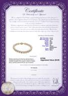  Certificato di prodotto: W-AA-657-B-Akoy