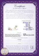 Certificato di prodotto: W-AA-67-E-Akoy