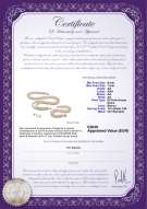 Certificato di prodotto: W-AA-67-S-DBL