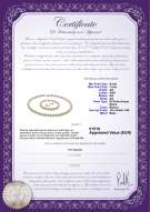  Certificato di prodotto: W-AA-67-S