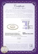 product certificate: W-AA-67-S