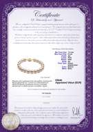 Certificato di prodotto: W-AA-758-B-Akoy