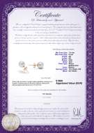 Certificato di prodotto: W-AA-758-E-Akoy