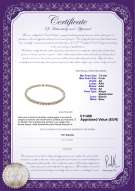 Certificato di prodotto: W-AA-758-N-Akoy
