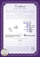 Certificato di prodotto: W-AA-78-E-SS