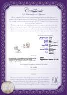 product certificate: W-AA-78-E-SS