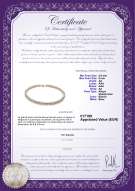  Certificato di prodotto: W-AA-859-N-Akoy