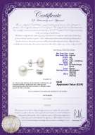 Certificato di prodotto: W-AA-885-E-SS