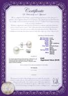 product certificate: W-AA-885-E-SS