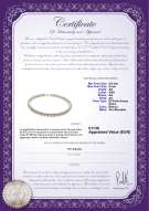 Certificato di prodotto: W-AA-89-N
