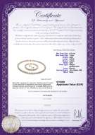 Certificato di prodotto: W-AAA-657-S-Akoy