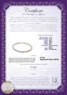  Certificato di prodotto: W-AAA-78-N